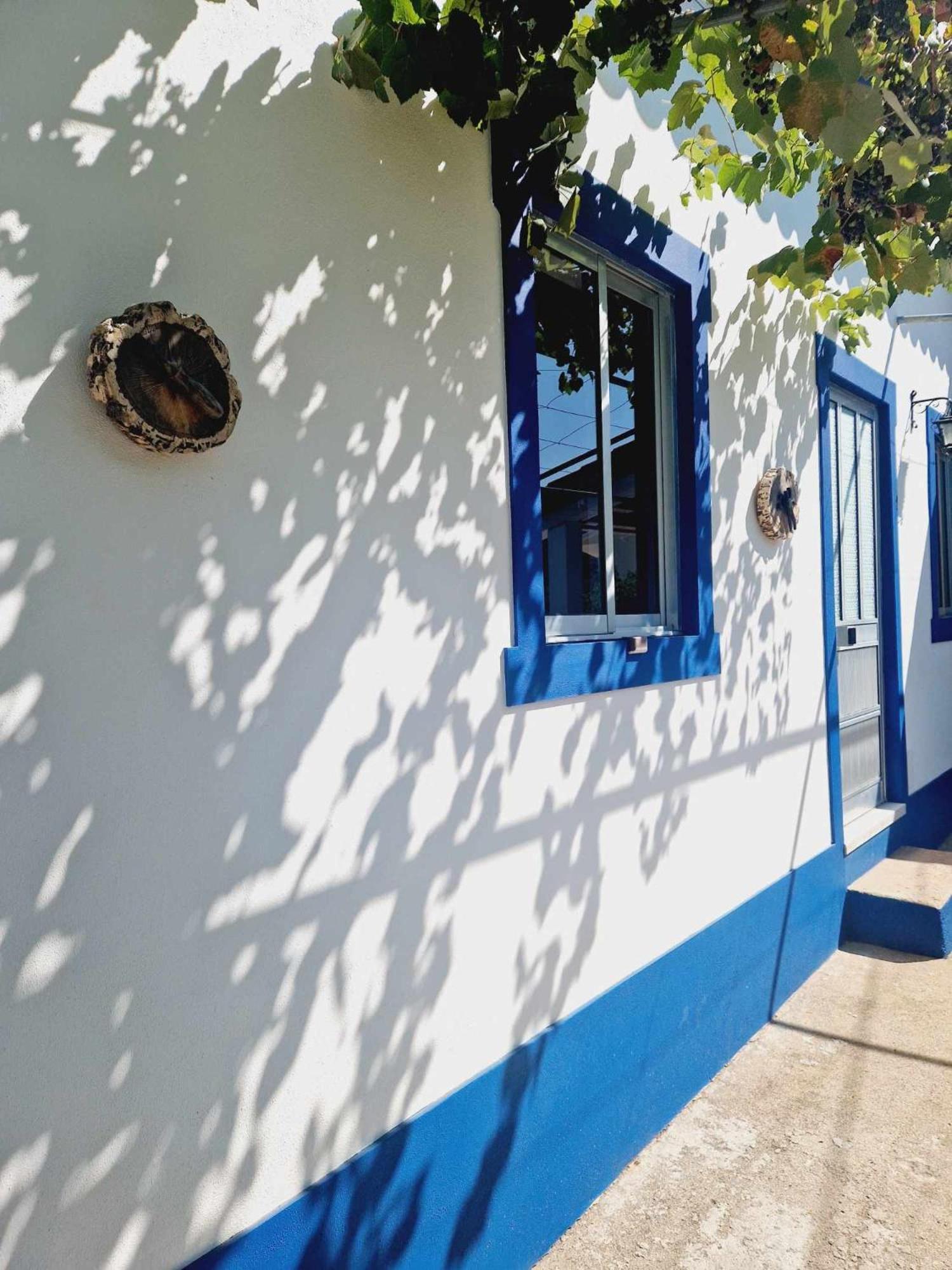 Vila Casa Dos Martelitos Salgueira  Exteriér fotografie