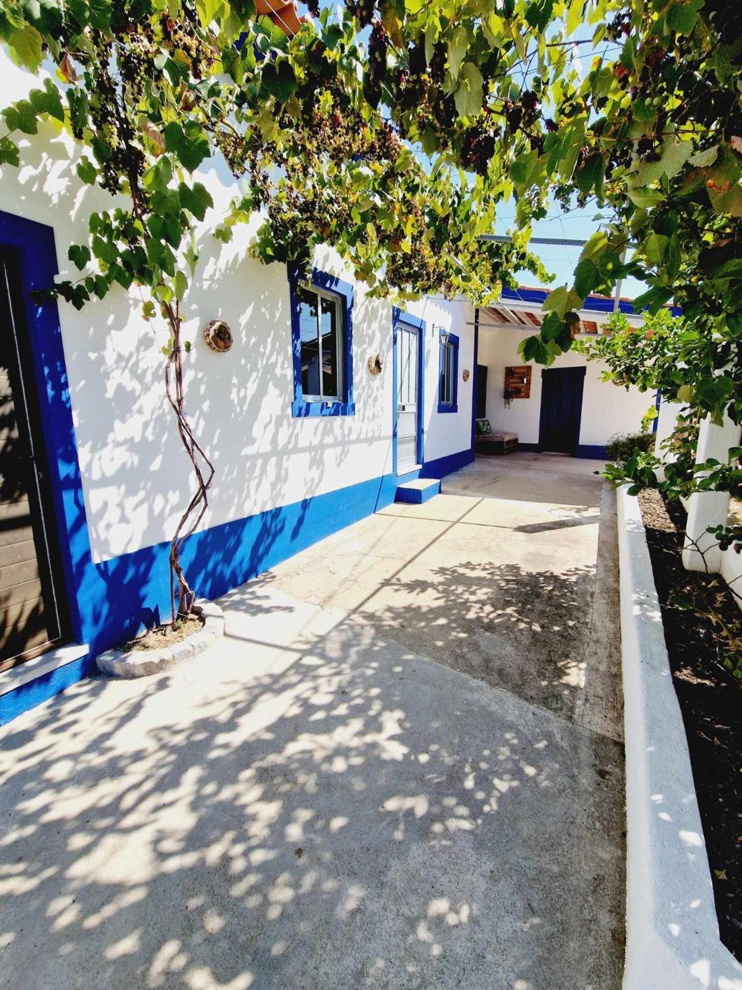 Vila Casa Dos Martelitos Salgueira  Exteriér fotografie